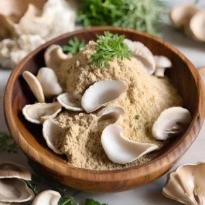 oyster mushroom powder 1746161009 8036215